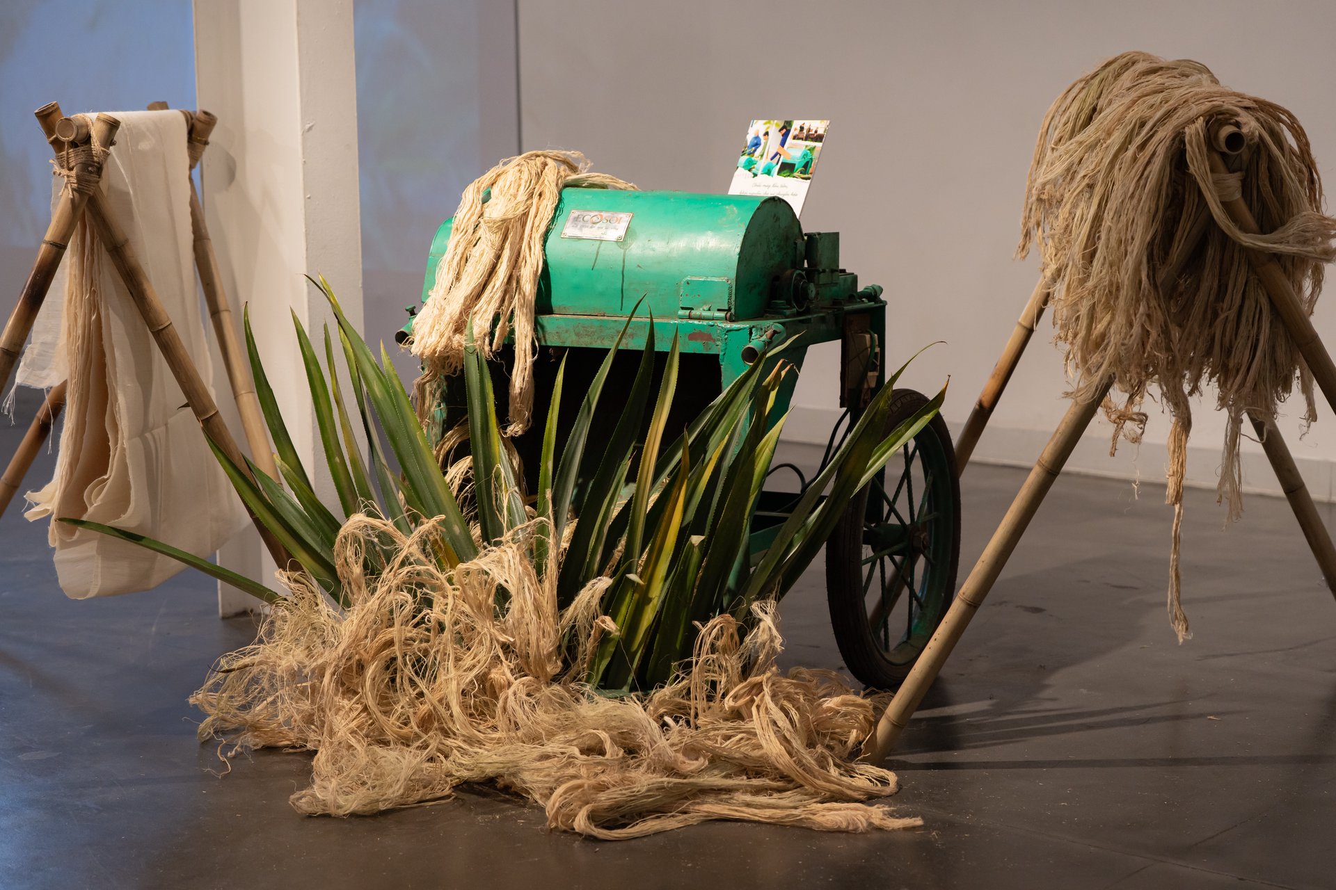 Hinh anh Ra mắt sản phẩm mới - Vải Sợi Dứa Pinalina™ - nguyên liệu bản địa thuần Việt 11