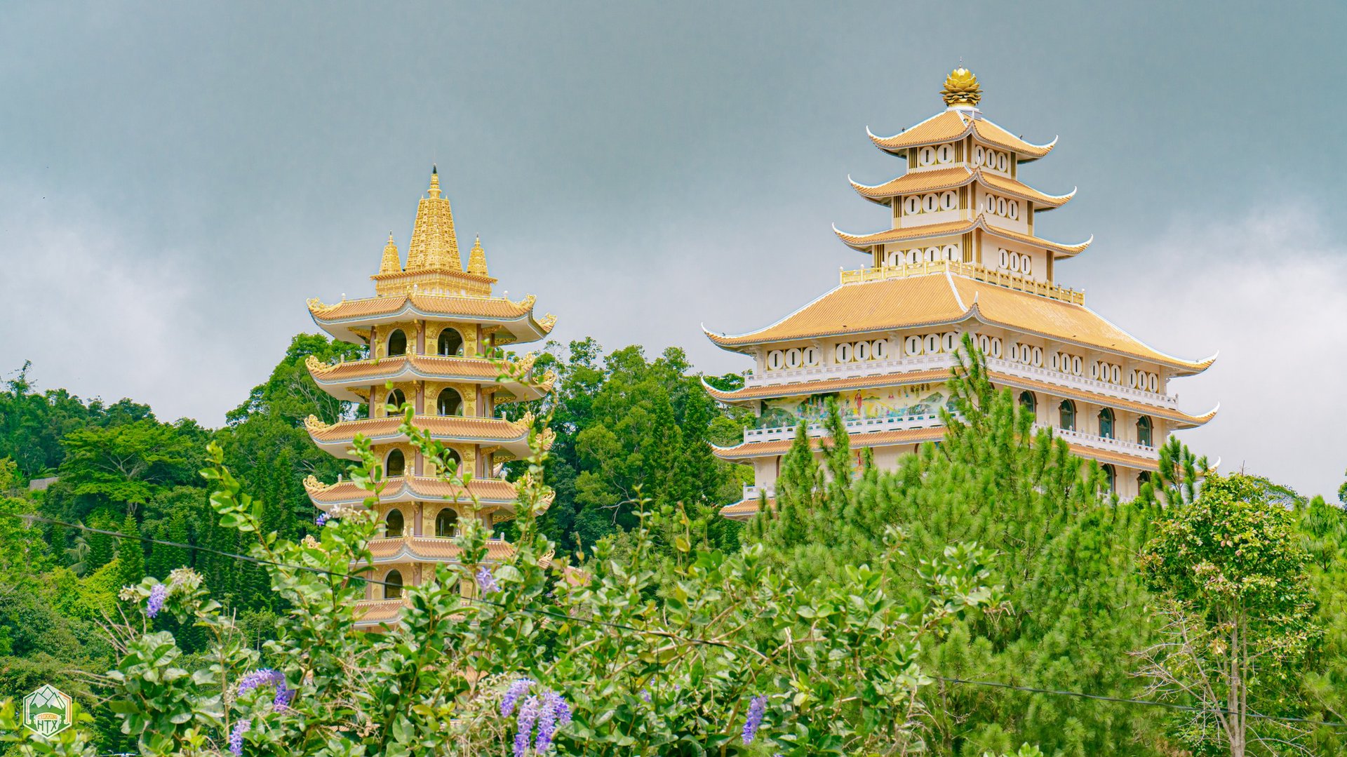 Hinh anh Chinh phục thiên nhiên hoang sơ: 9 cung đường trekking gần TP.HCM 1