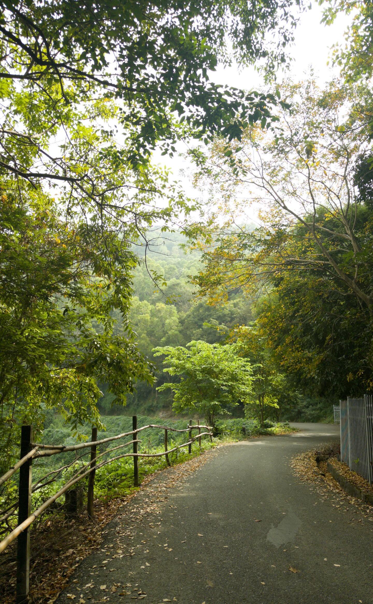 Hinh anh Chinh phục thiên nhiên hoang sơ: 9 cung đường trekking gần TP.HCM 6