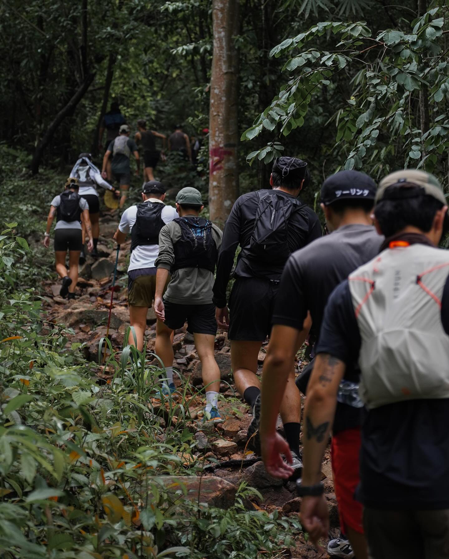 Hinh anh Chinh phục thiên nhiên hoang sơ: 9 cung đường trekking gần TP.HCM 8