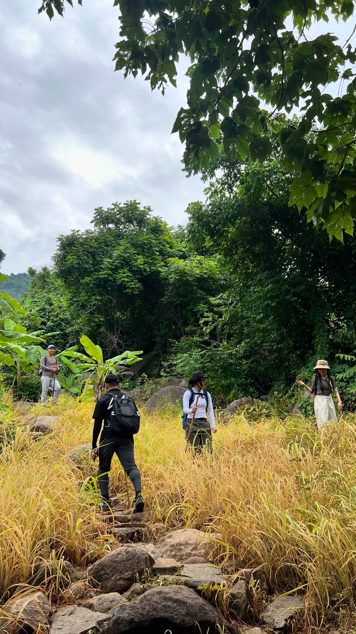 Hinh anh Chinh phục thiên nhiên hoang sơ: 9 cung đường trekking gần TP.HCM 12