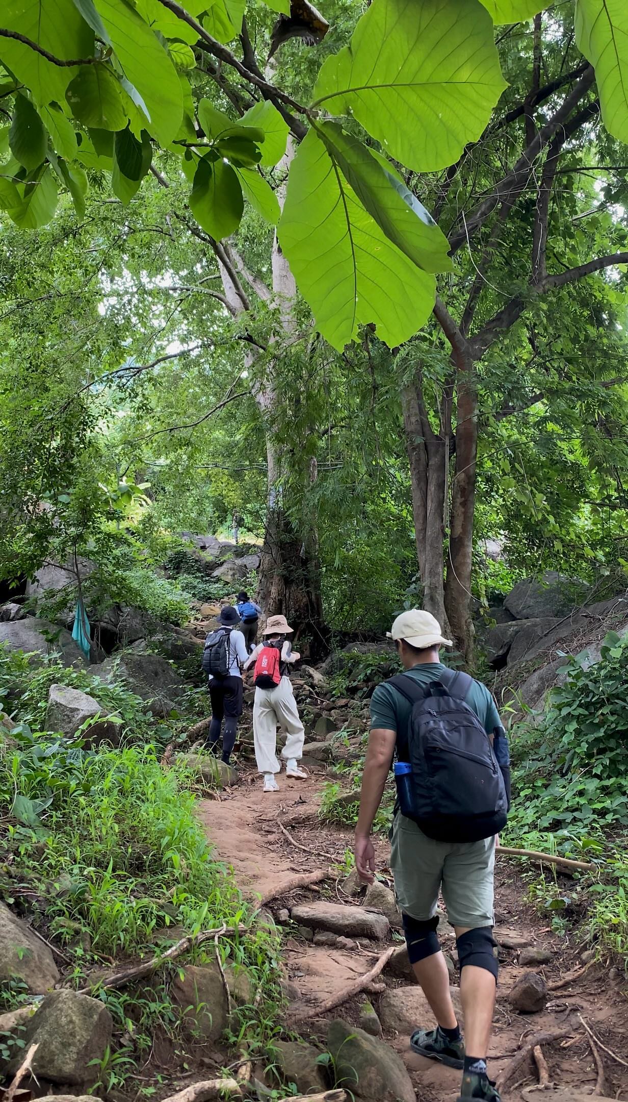 Hinh anh Chinh phục thiên nhiên hoang sơ: 9 cung đường trekking gần TP.HCM 11