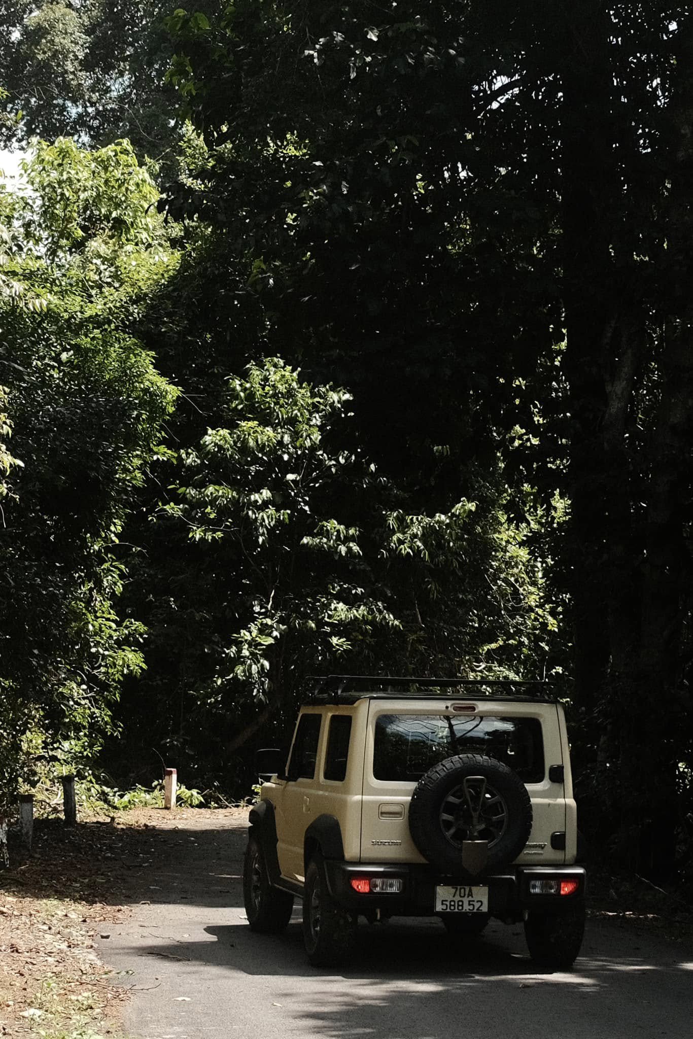 Hinh anh Chinh phục thiên nhiên hoang sơ: 9 cung đường trekking gần TP.HCM 13