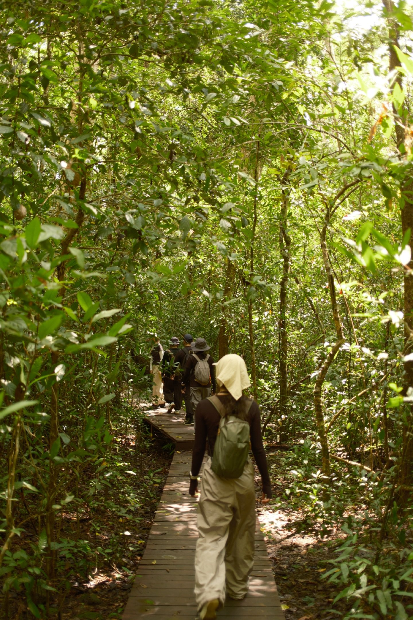 Hinh anh Chinh phục thiên nhiên hoang sơ: 9 cung đường trekking gần TP.HCM 16