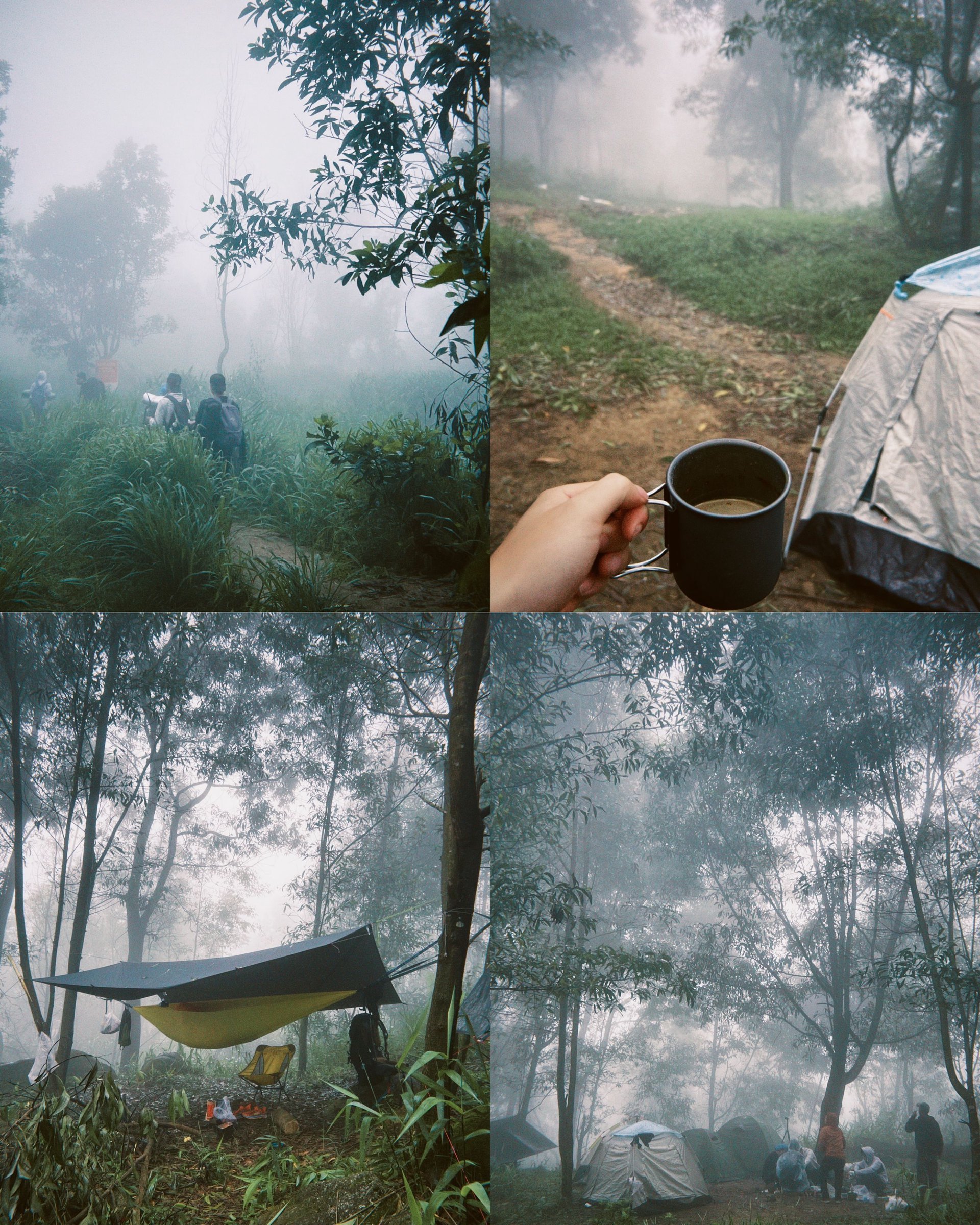 Hinh anh Chinh phục thiên nhiên hoang sơ: 9 cung đường trekking gần TP.HCM 19