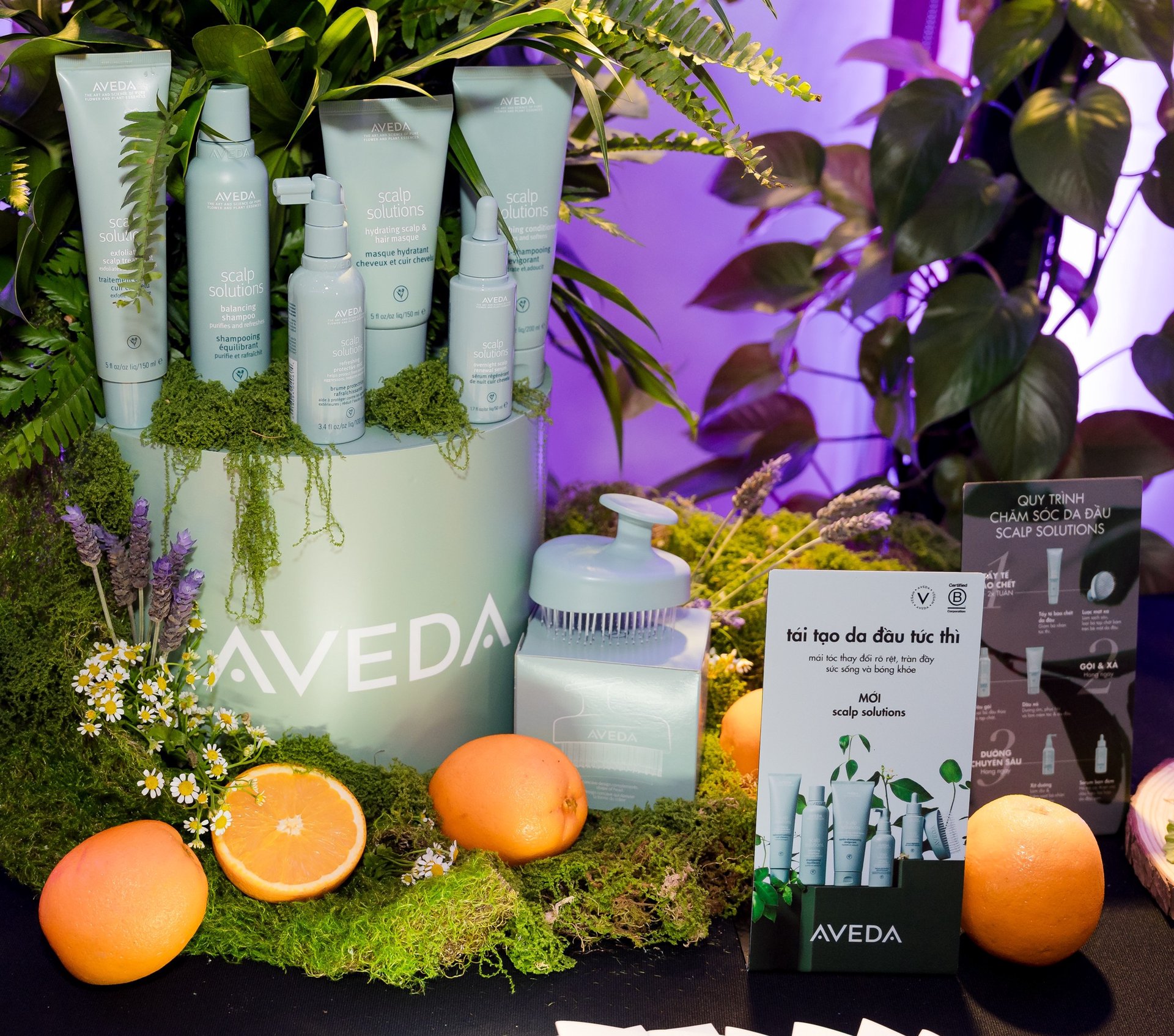 Hinh anh Đọc thêm: 1