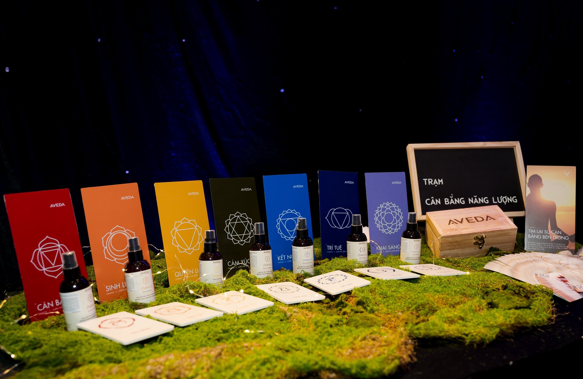 Hinh anh Đọc thêm: 3