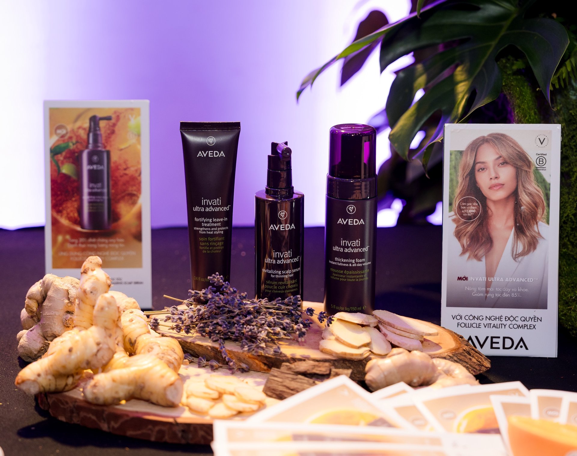 Hinh anh Đọc thêm: 6