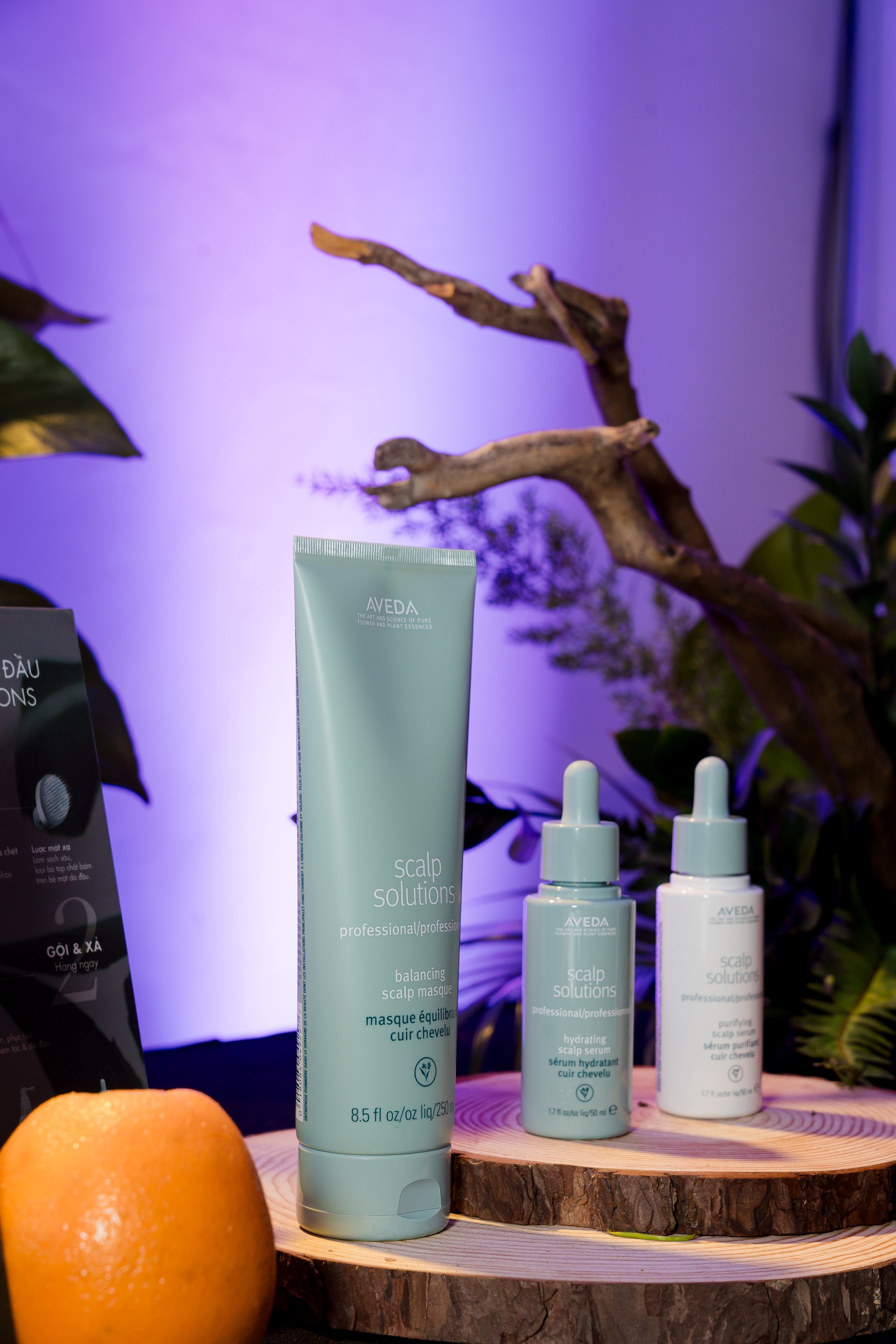 Hinh anh Đọc thêm: 4