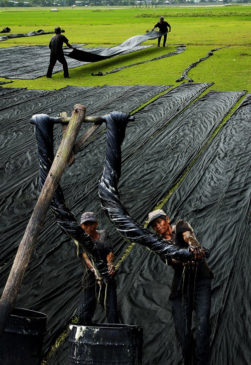 Hinh anh Sinh thời của áo bà ba 9