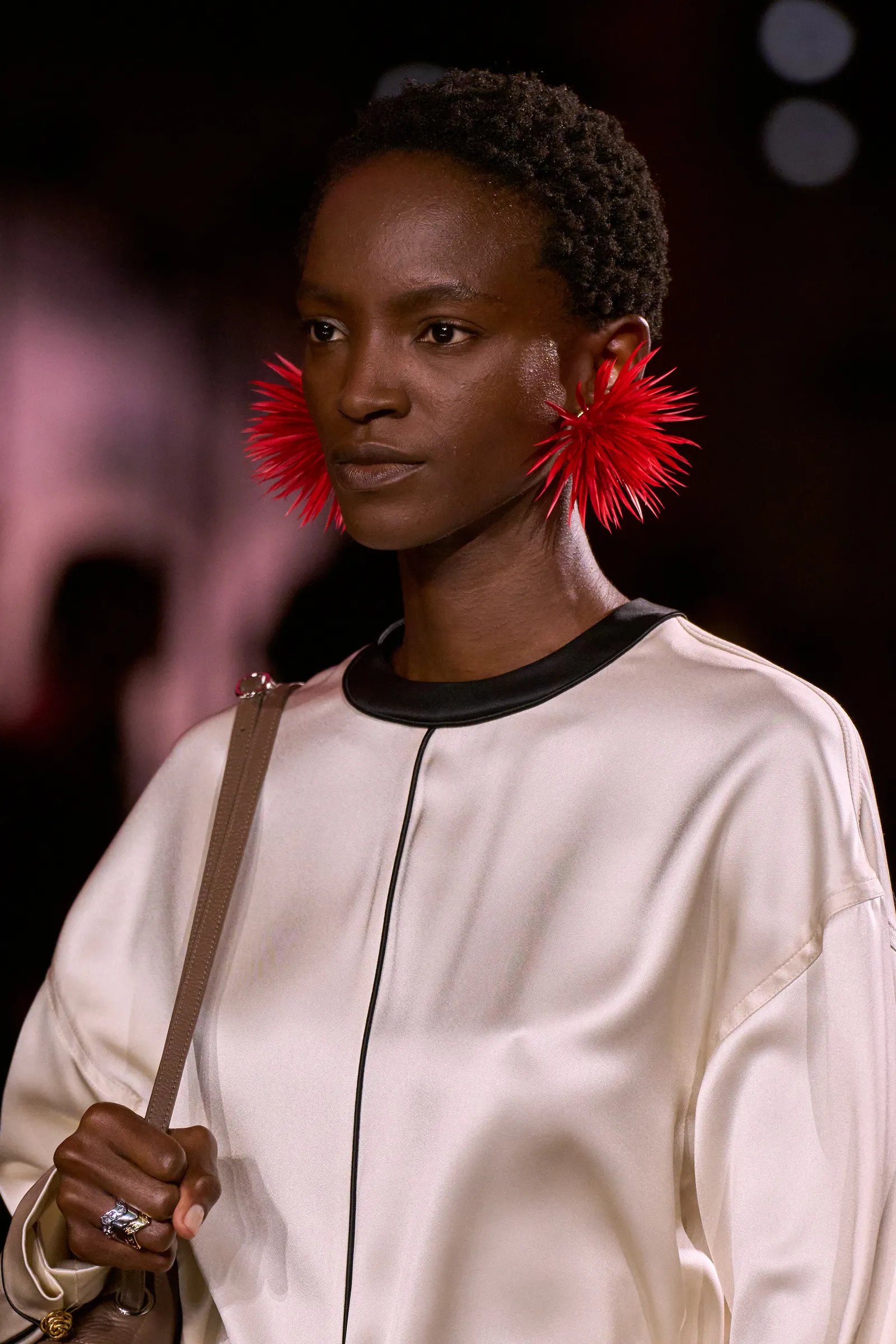 Hinh anh Khuyên tai pháo hoa 1