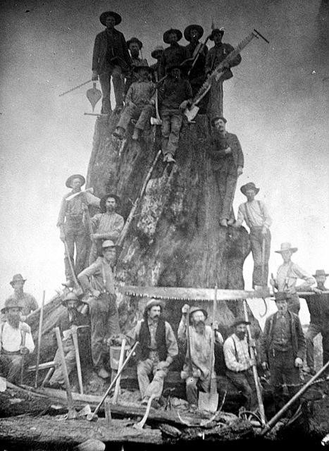 Hinh anh Flannel: Biểu tượng sức mạnh của giai cấp cần lao 10