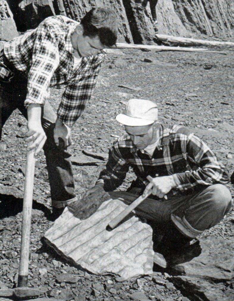 Hinh anh Flannel: Biểu tượng sức mạnh của giai cấp cần lao 1