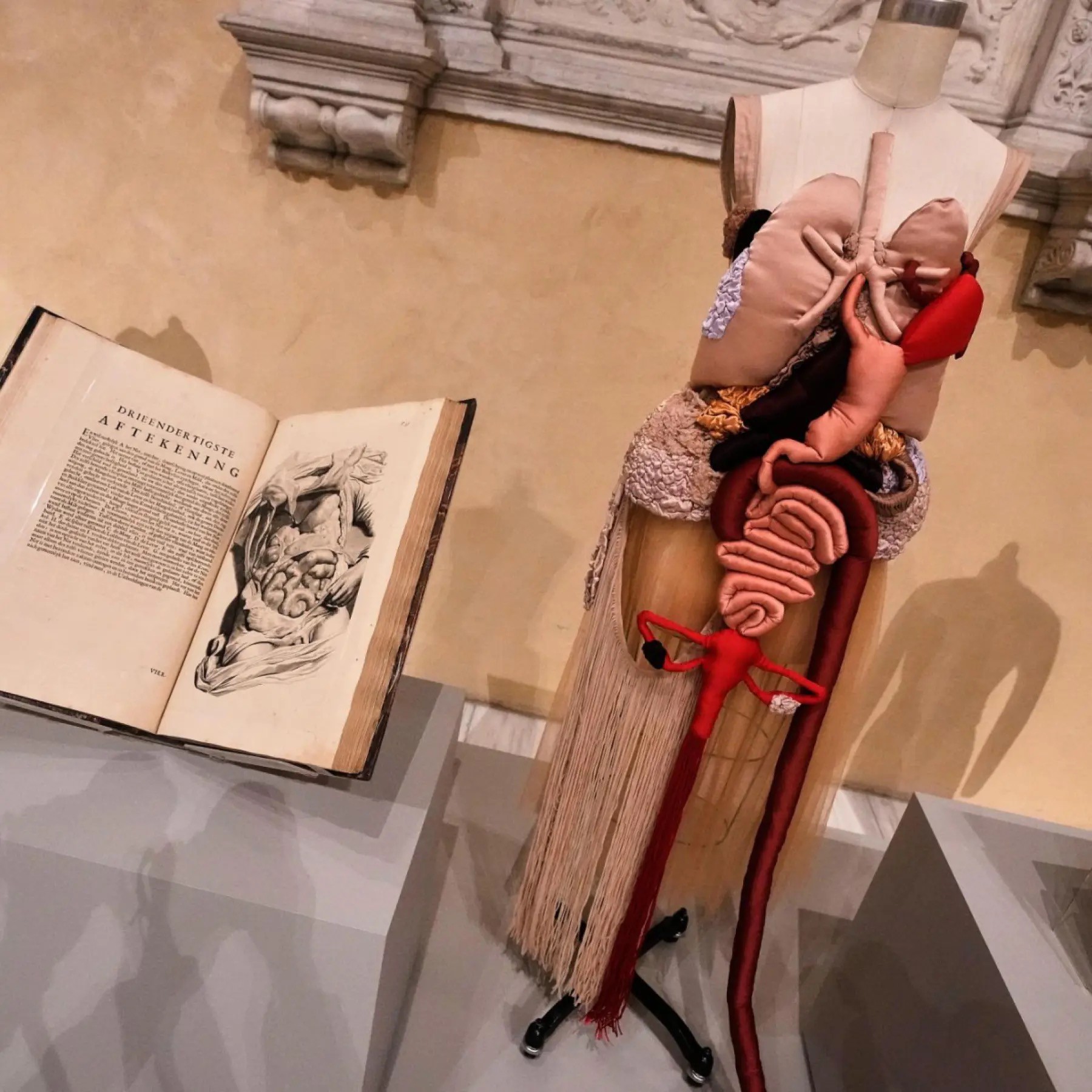 Hinh anh Đọc thêm: 1