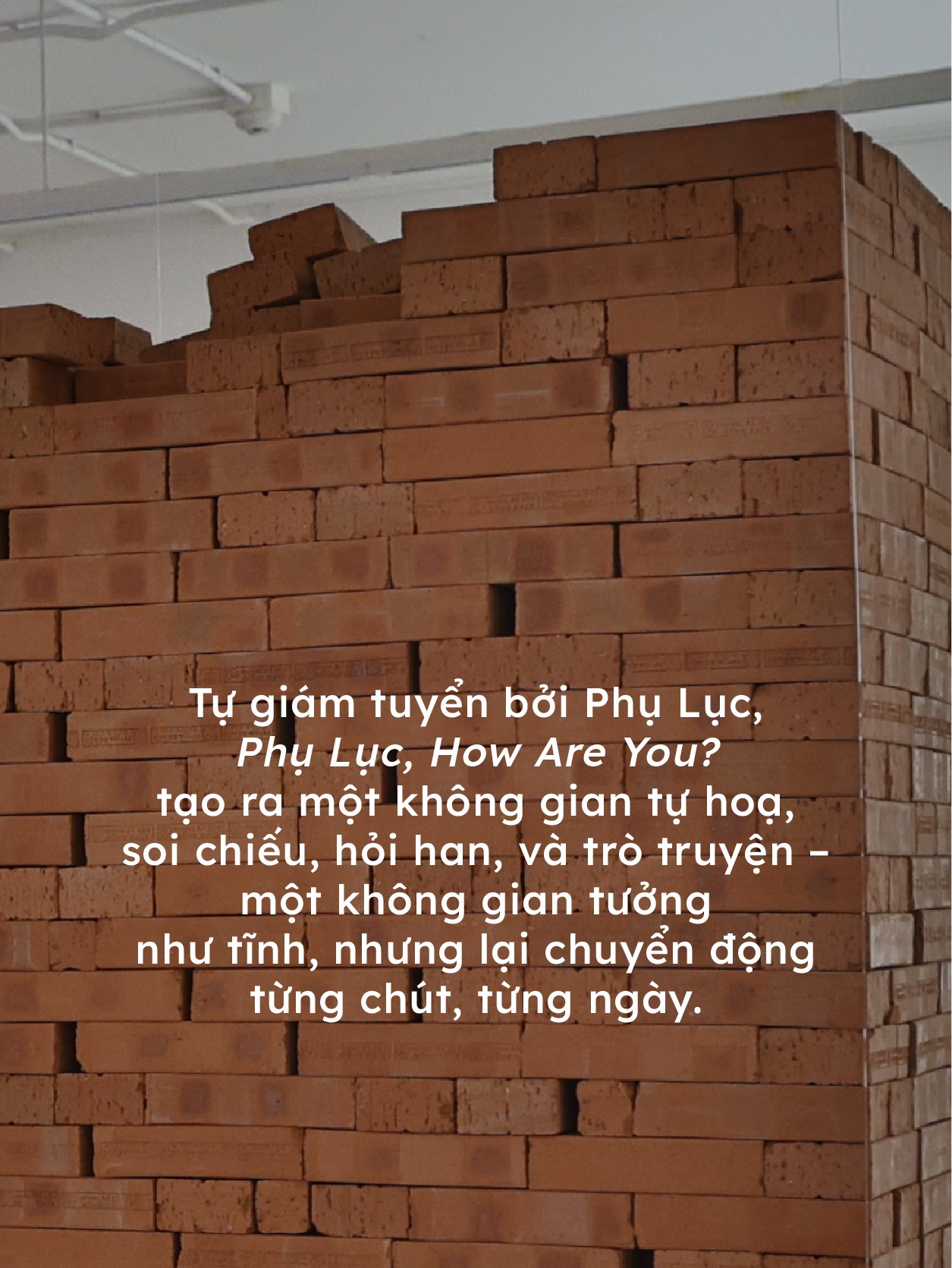 Hinh anh Dành cho những tâm hồn yêu cái đẹp: 12 sự kiện nghệ thuật tháng 12 46