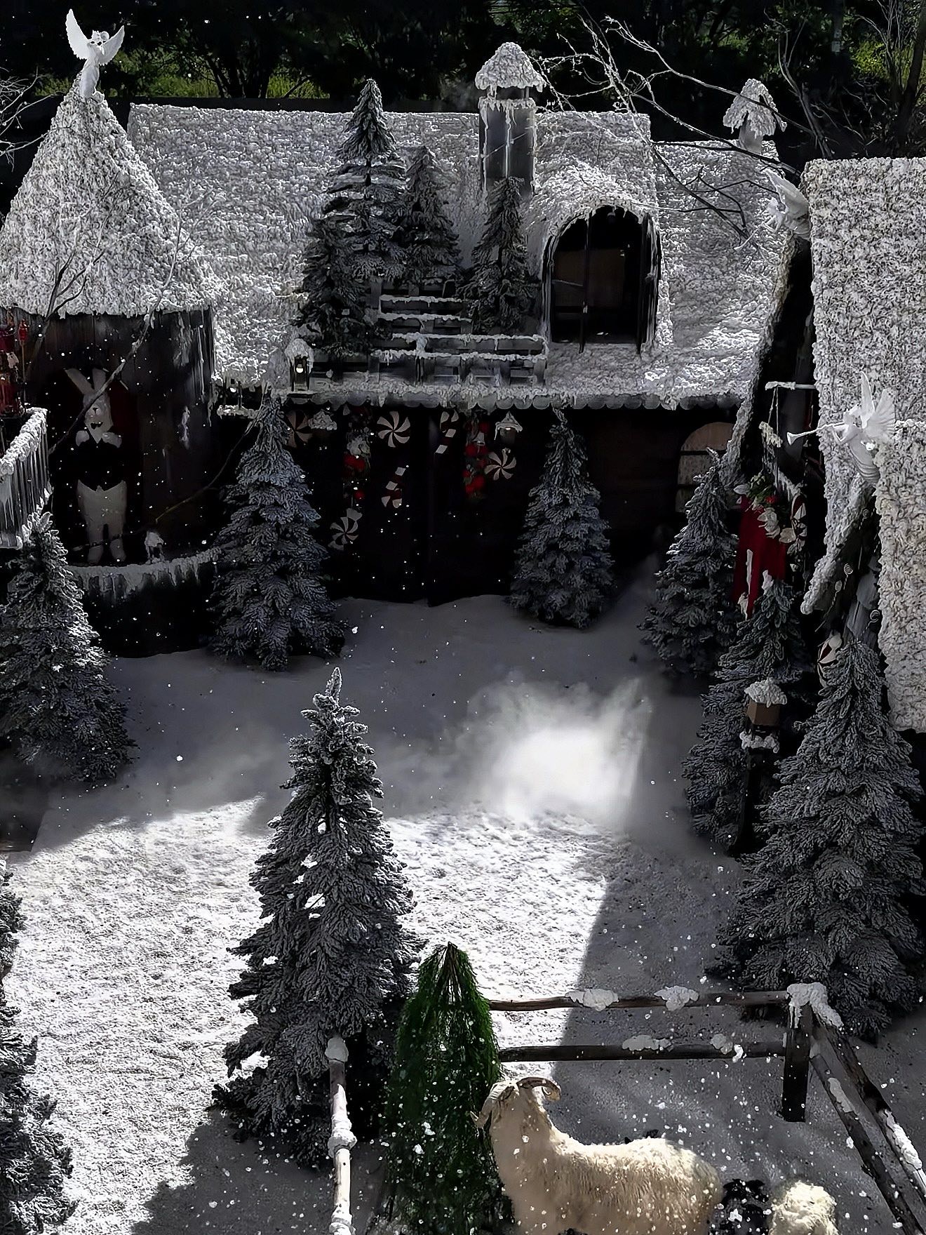 Hinh anh 5 quán cà phê biến Sài Gòn trở thành “kinh đô Giáng sinh” 9