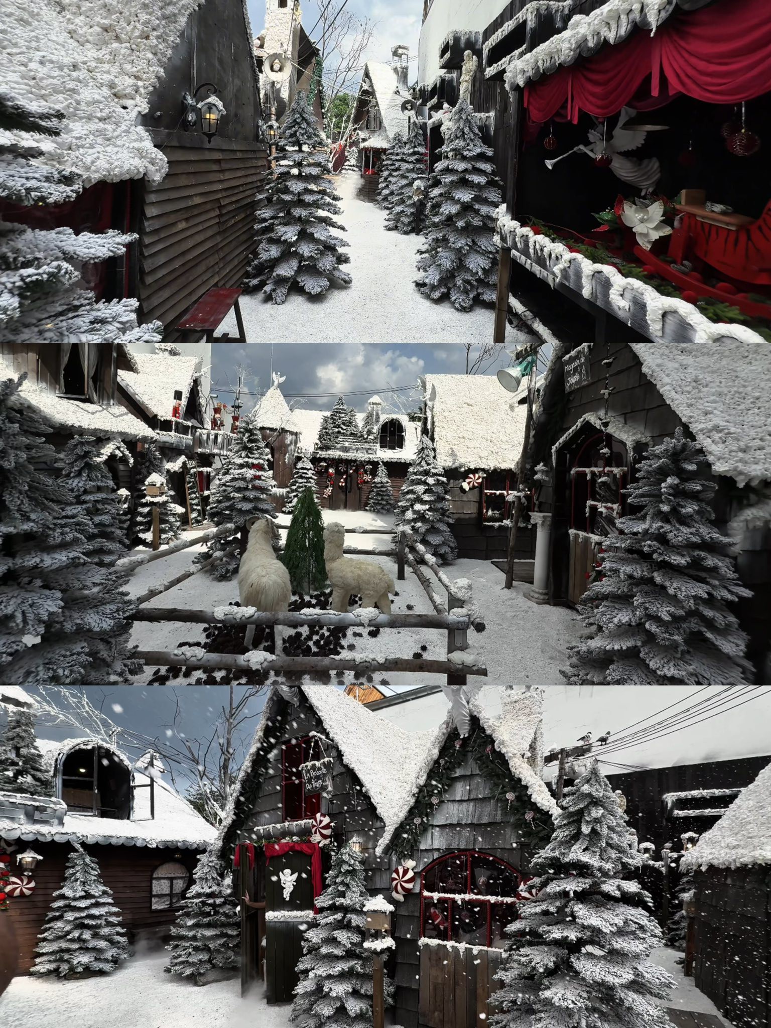 Hinh anh 5 quán cà phê biến Sài Gòn trở thành “kinh đô Giáng sinh” 11