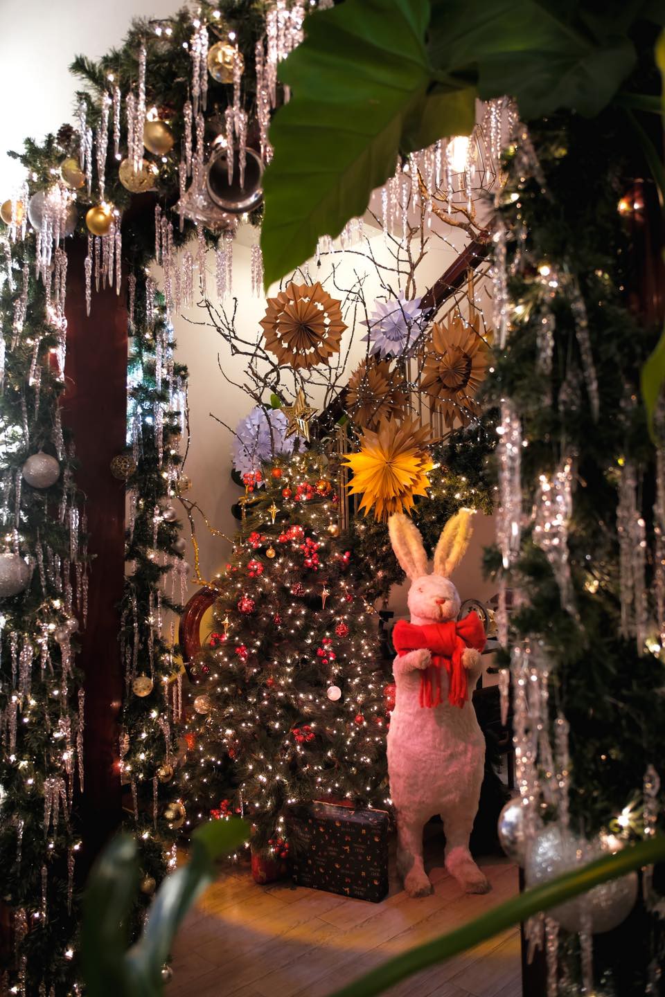 Hinh anh 5 quán cà phê biến Sài Gòn trở thành “kinh đô Giáng sinh” 15