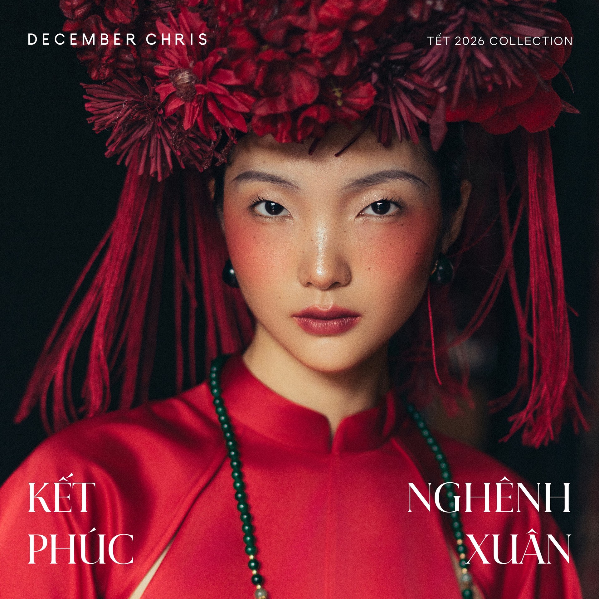 Hinh anh December Chris 1