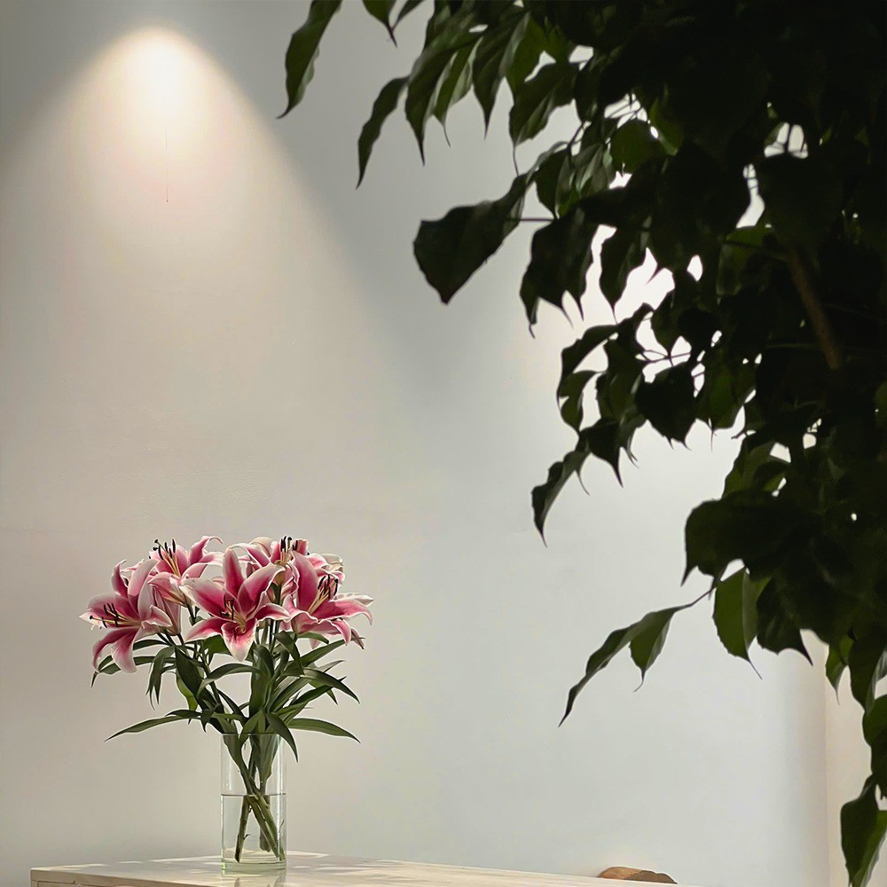 Hinh anh Hãy để Anam QT Spa nâng niu tâm hồn bằng di sản phương Đông 2