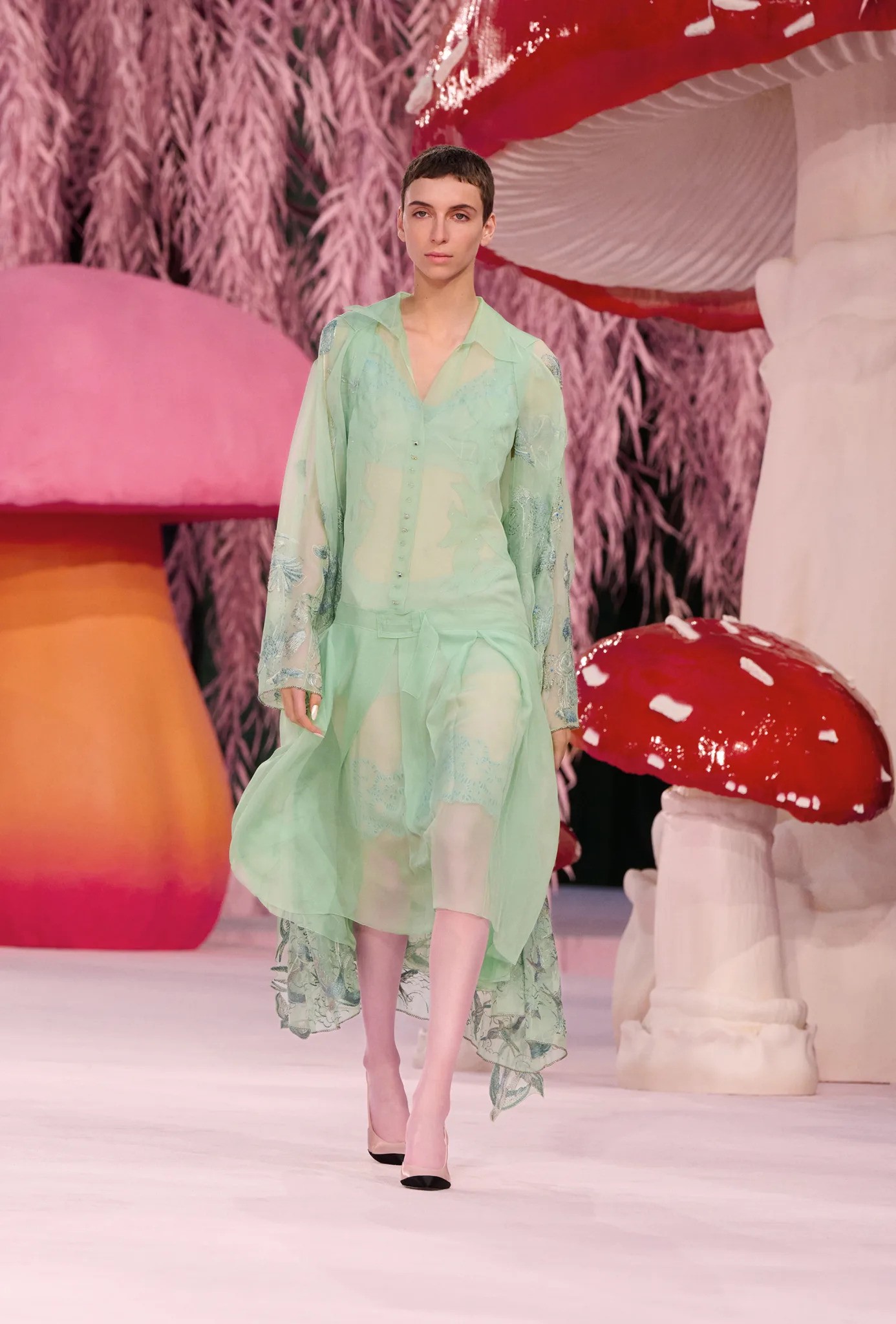 Hinh anh Khi sự mong manh trở thành ngôn ngữ chính 16