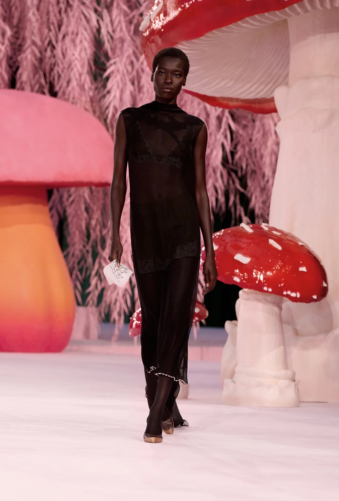 Hinh anh Chim, nấm và những ẩn dụ nữ tính 21