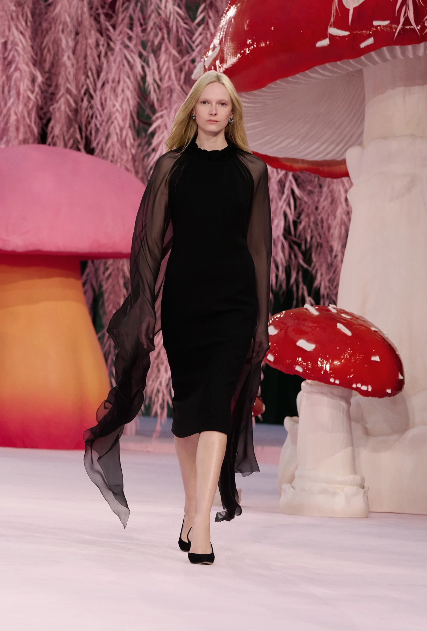 Hinh anh Chim, nấm và những ẩn dụ nữ tính 22