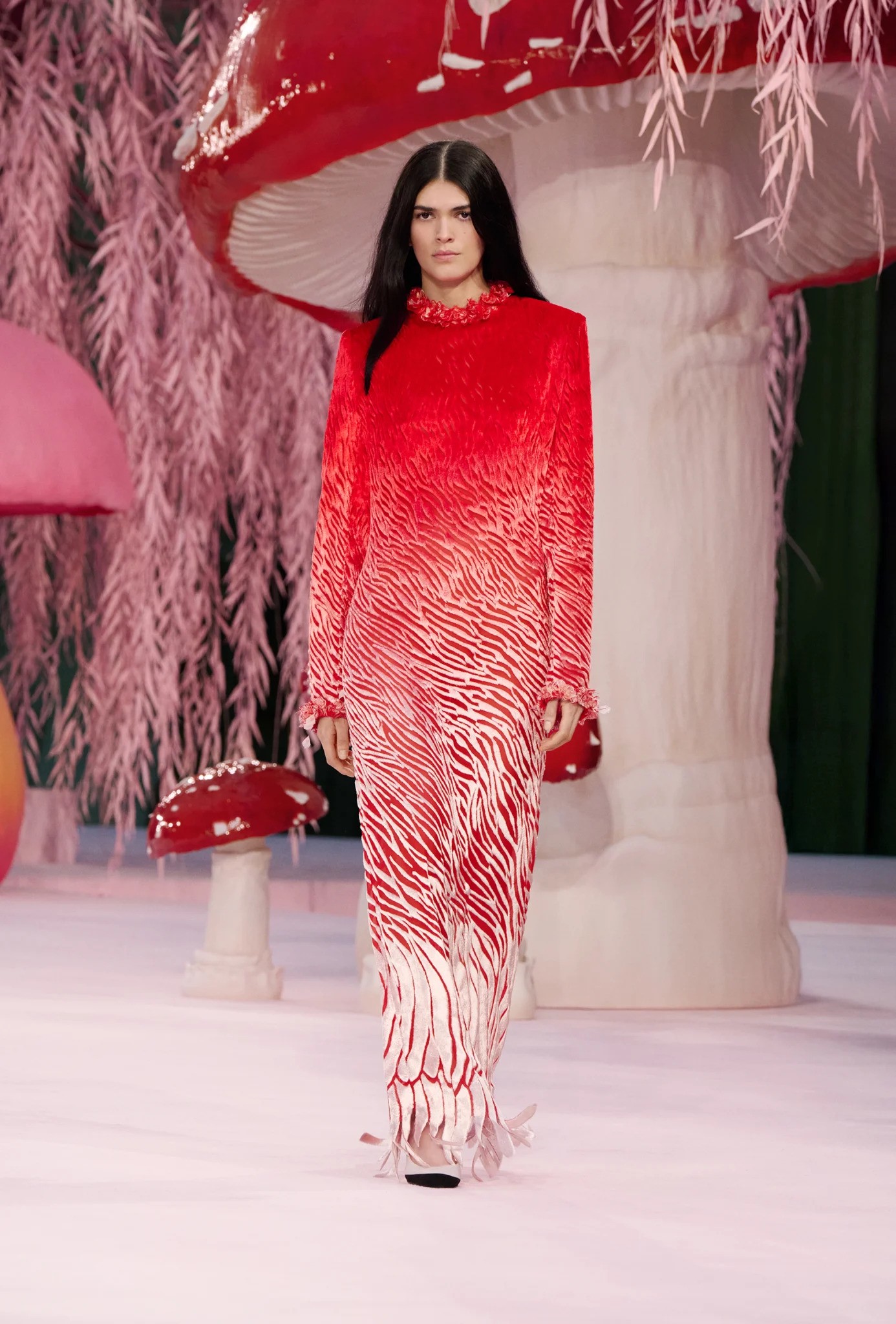 Hinh anh Chim, nấm và những ẩn dụ nữ tính 15