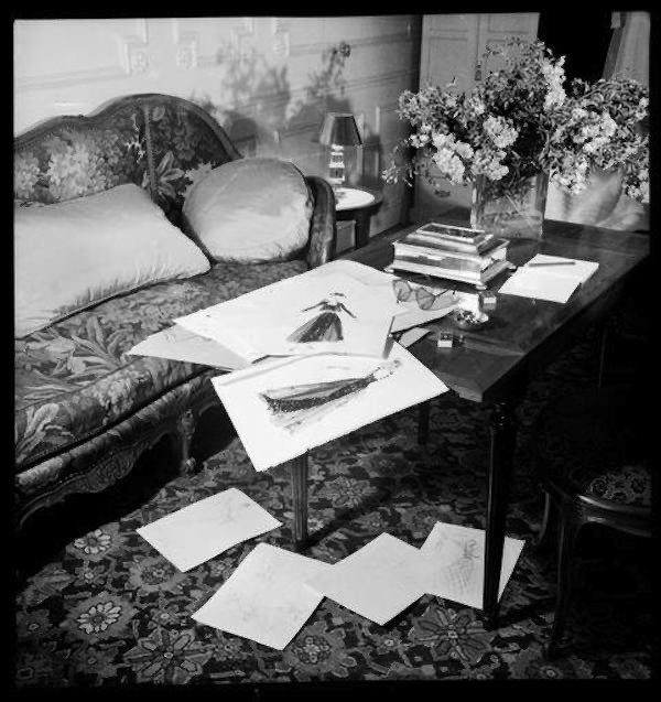 Hinh anh Đọc thêm: 6