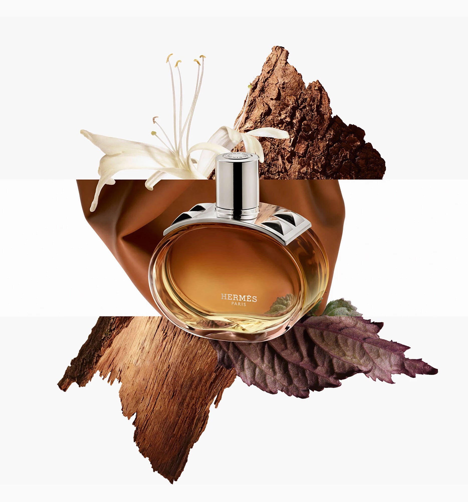 Hinh anh Nền tảng cần biết trước khi layering 1