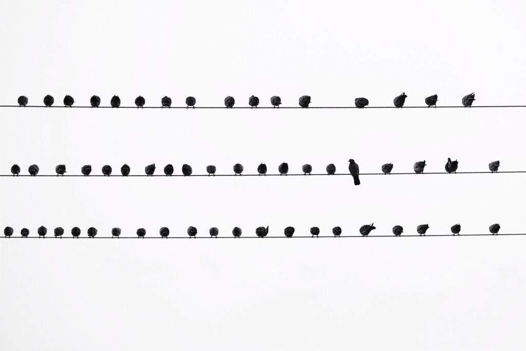 Hinh anh Dành cho những tâm hồn yêu cái đẹp: 7 sự kiện nghệ thuật tháng 2 7