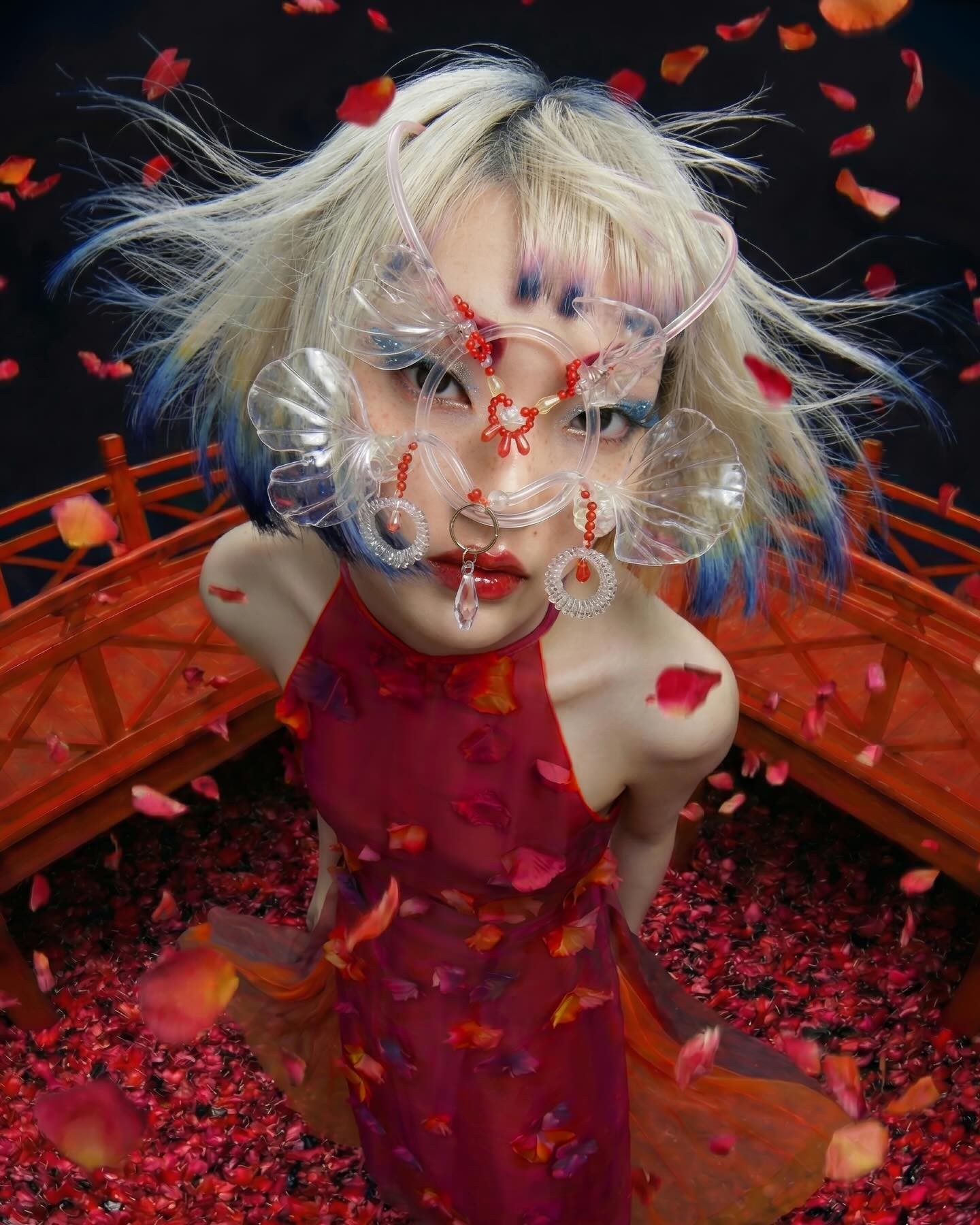 Hinh anh Tại sao thấy đỏ là thấy tết? 14