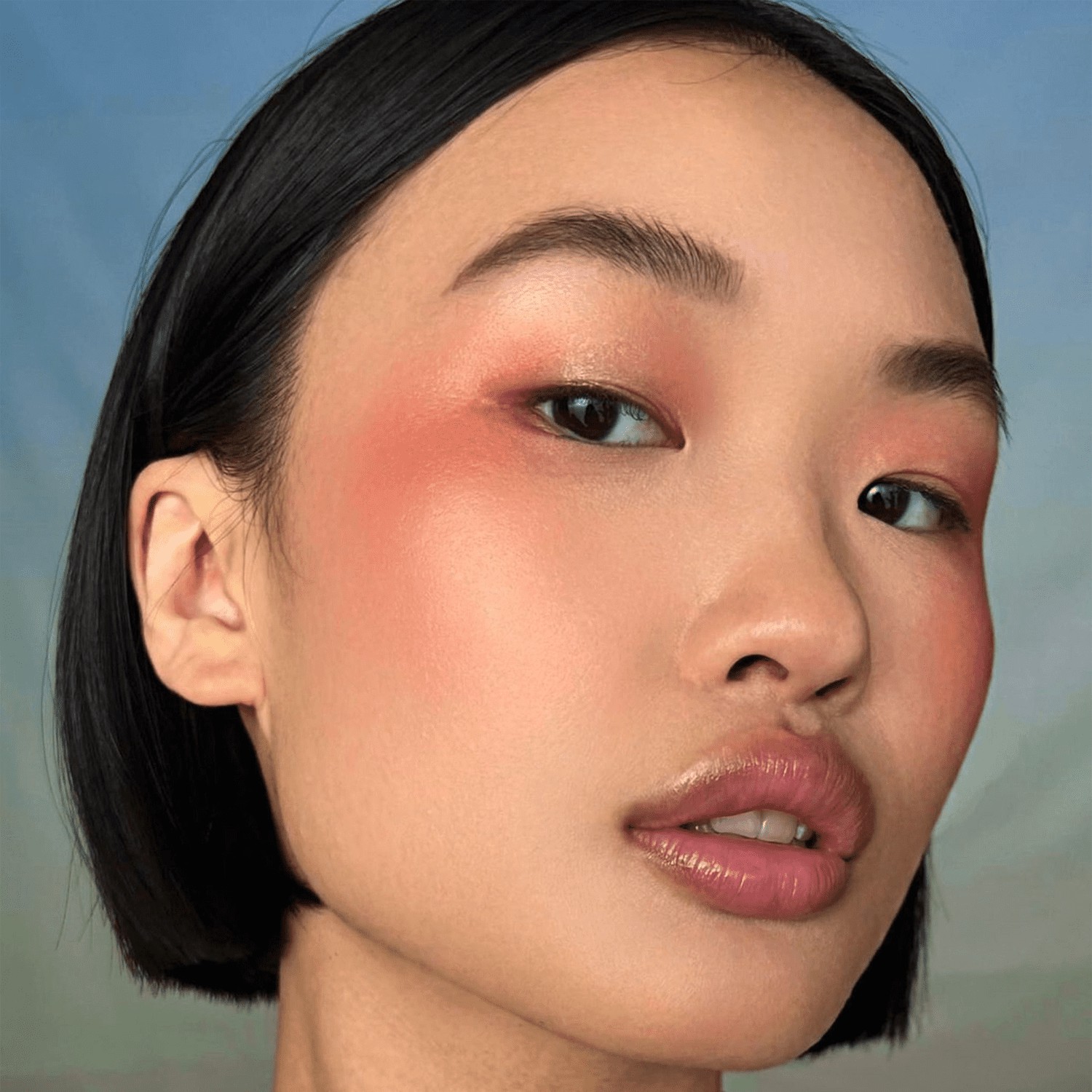 Hinh anh Multipurpose monochrome: một màu cho cả gương mặt 4