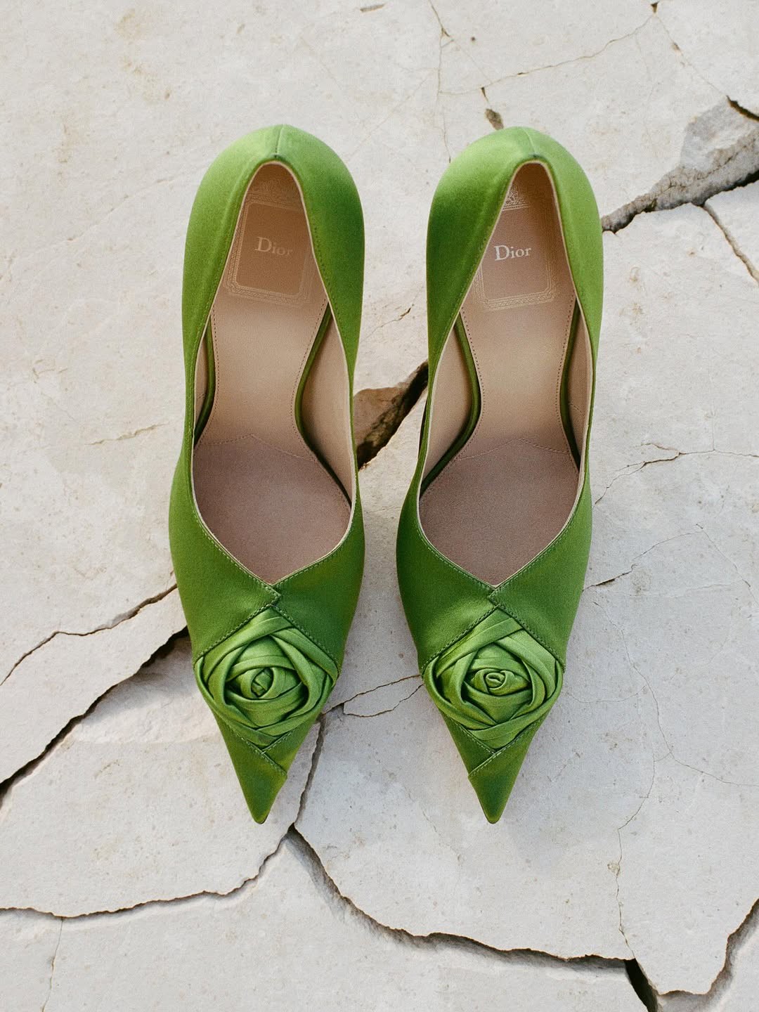 Hinh anh Một khu vườn thơ mộng 28