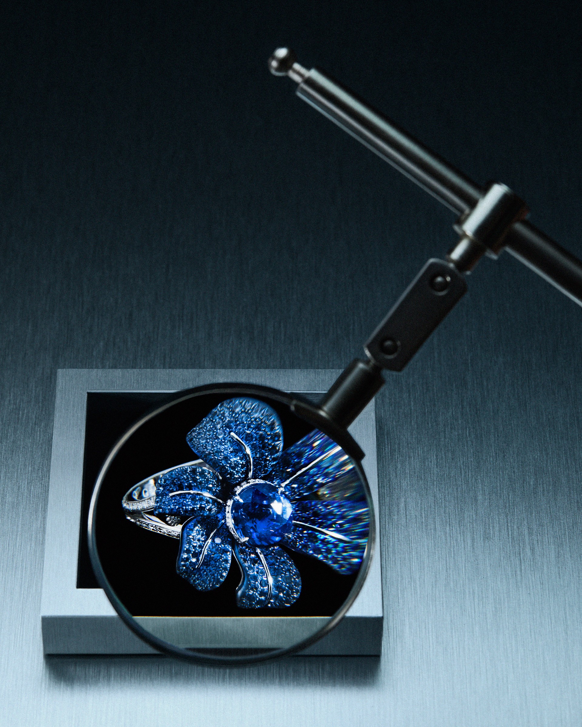 Hinh anh Gucci High Jewelry: Ngàn hoa nở rộ, biển cả reo vang  2