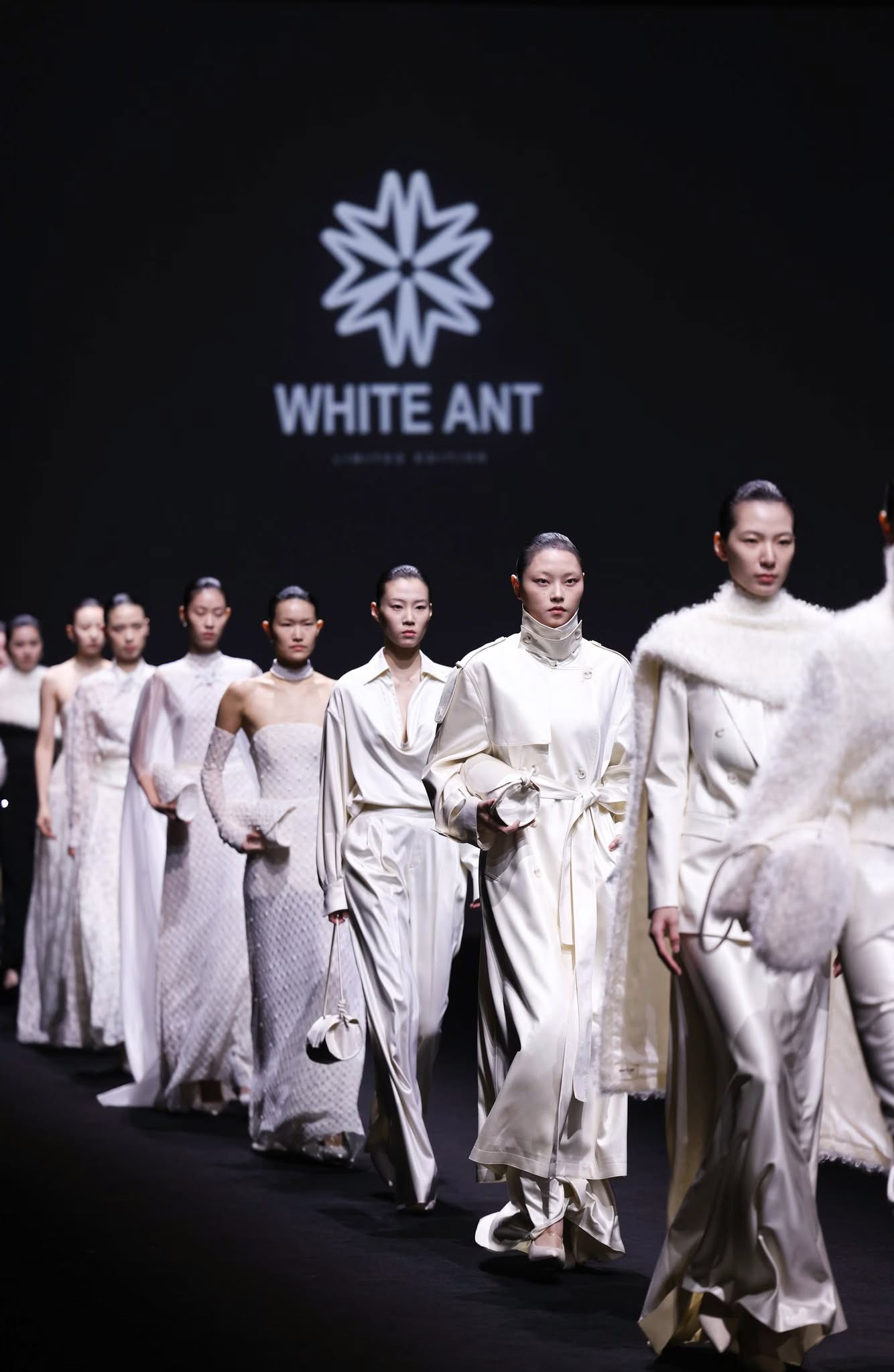 Hinh anh WHITE ANT đánh dấu 20 năm bằng một biểu tượng mới 10