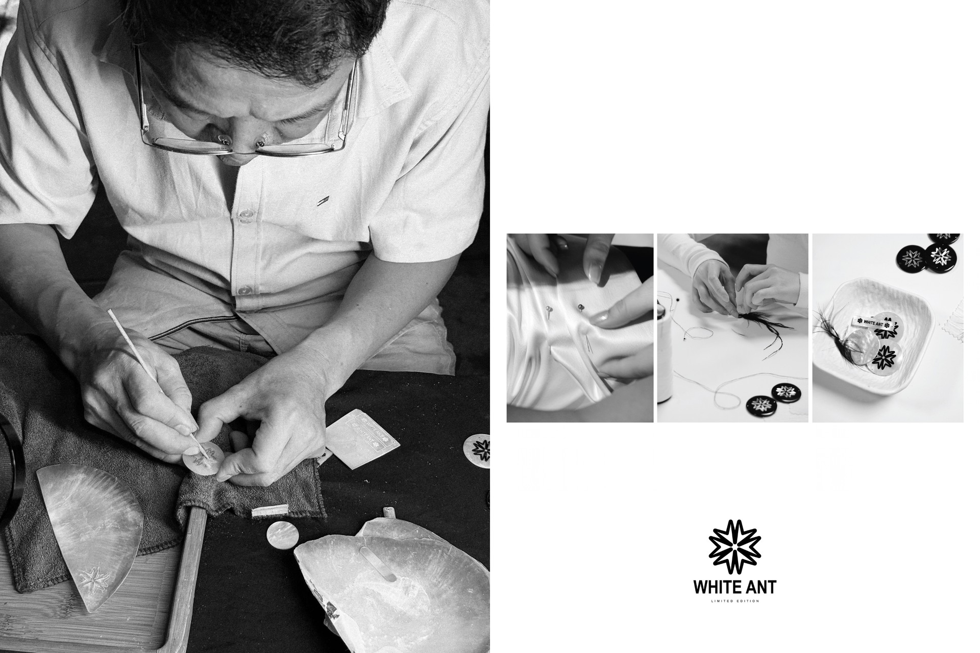 Hinh anh WHITE ANT đánh dấu 20 năm bằng một biểu tượng mới 1